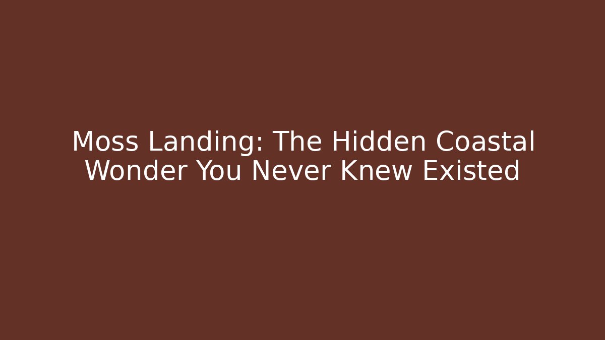 Moss Landing: The Hidden Coastal Wonder You Never Knew Existed