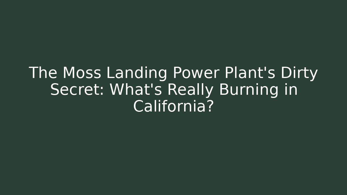 The Moss Landing Power Plant’s Dirty Secret: What’s Really Burning in California?