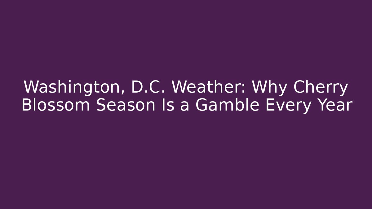 Washington, D.C. Weather: Why Cherry Blossom Season Is a Gamble Every Year